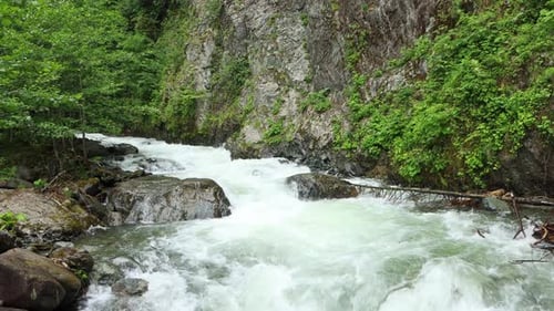 Herbst am Fluss