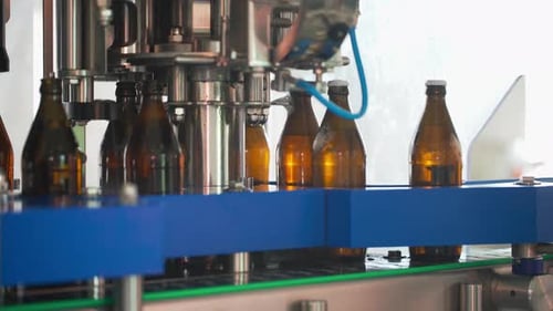 Bottling Line Brewing Technology Bottles Moving on Conveyor Belt at Glass Bottle Factory Clean Beer