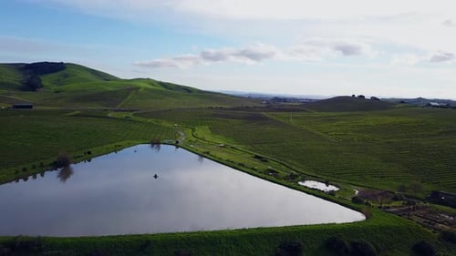 Aerial Drone footage of the vineyards in Napa Valley Bay Area California USA