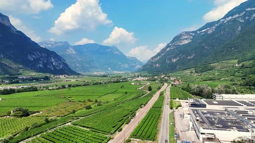 vineyards along the road between the mountains