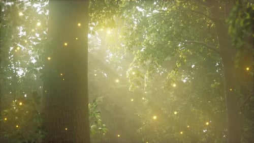 A Forest Filled with Lots of Trees Covered in Lights