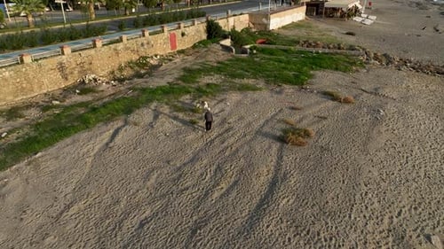 Panorama Of The Buildings On The Coastline City Alanya Turkey Aerial View