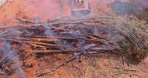 Forest Destruction Burning Uprooting of Forests Preparation Cleaning of Land Before Building a House