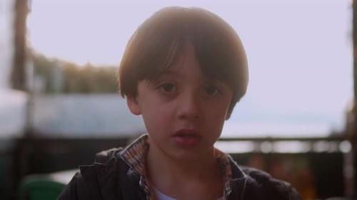 Boy Looks Directly at Camera Indoors During the Day