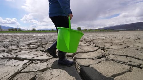 Climate Change And Ecology