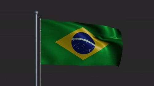 Waving Brazilian National Flag on Pole Animation