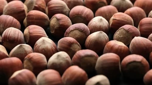 Brown Hazelnuts Pile Close Up