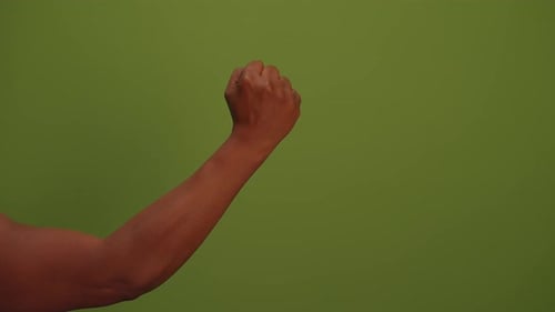 An Expressive Dynamic Gesture Set Against a Vibrant Green Background for Visual Impact