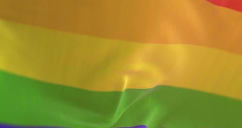 Waving Rainbow Pride Flag with Fabric Texture Animation
