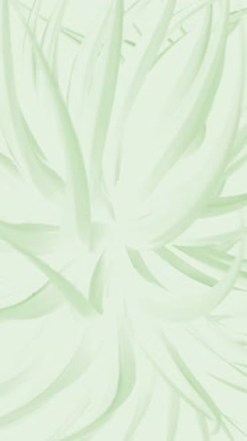 Fluid Organic Green Lines Abstract Background Loop Animation