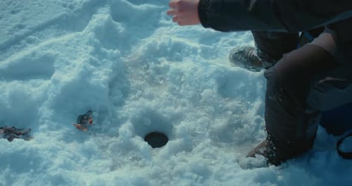 Sportive Ice Fishing Closeup View of Ice Hole Fisherman Getting Fish By Rod Prores