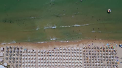 Drone Video of a Crowded Beach with Rows of Umbrellas and Sunbathers Set Against the Gentle Waves of