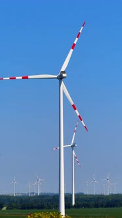Turbines create clean energy. Wind turbines stand tall against a clear blue sky