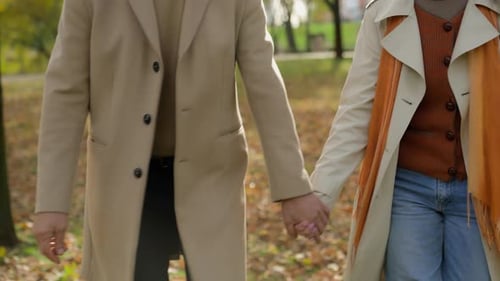 Happy Old Senior Married Couple Adults Hold Hands Together Walking in City Park Joyful Mature Gray