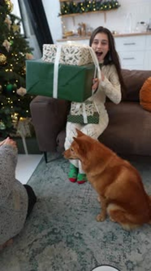 Couple Exchanging Christmas Gifts with Dog at Home