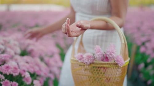 Die Hand einer Frau geht glücklich und hält eine Gartenblume in der Hand.