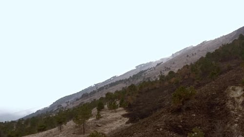 Effect of climate changes on hills after a fire left land destroyed