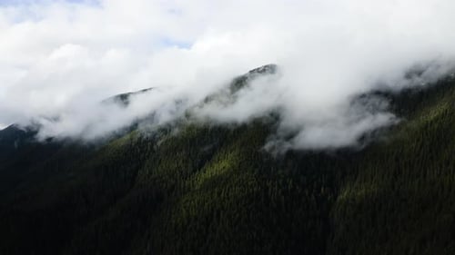 Clouds Over Lush Forests Near Olympic National Park in Washington State, United States. Static Shot