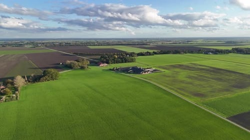Green and black farmland fields green desert no wildlife Aerial