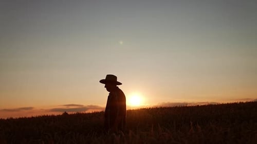 Adult Silhouette in Farm Field at Sunset