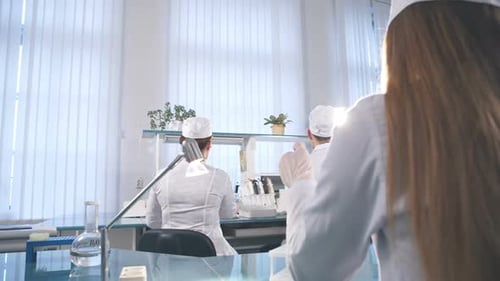 Scientists Working in Bright, Modern Lab