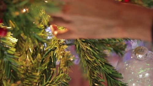 Hands Decorate Christmas Tree with Bird Ornament