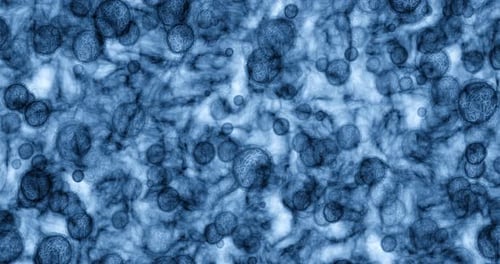 Bacteria particles, microscope and molecule zoom for science, biology and medical data research