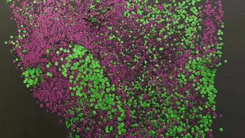 Farbe: 3D-Kugeln, Partikel bewegen Chaos auf schwarzem Beutel