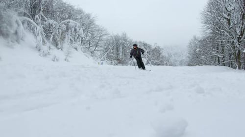 Winter Ski Adventure