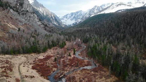 Breathtaking Mountain Valley with Winding River and Lush Forest Media