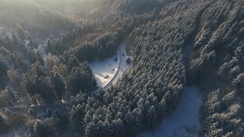 Aerial View Of Road In Coniferous Forest In Winter.