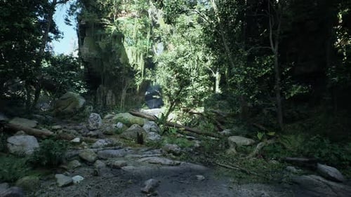Scenic Dirt Road Surrounded By Trees and Rocks