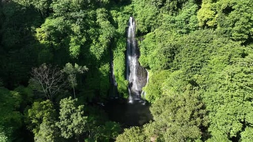 Waterfall surrounded by jungle - Banyumala Waterfall