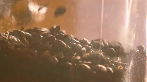 Coffee Beans Poured into Clear Container in Studio
