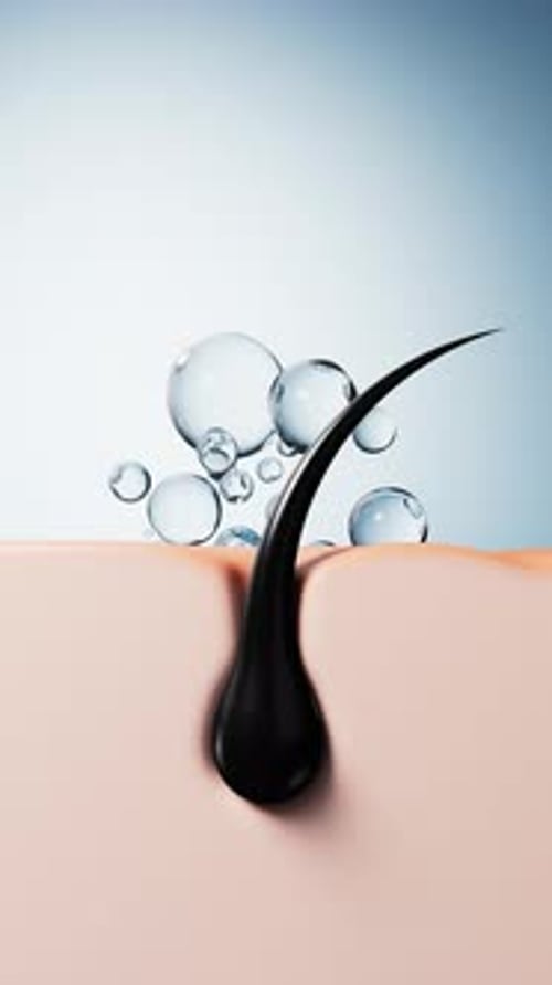 Animated Hair Follicle Growth and Nourishment on Skin