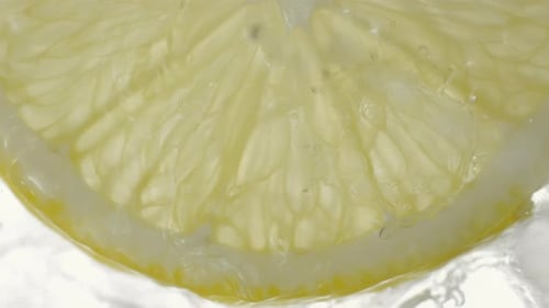 Lemon Slice Floating in Sparkling Water Close Up