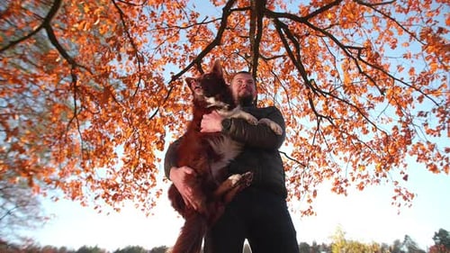 Caucasian Man Playing with His Cute Dog in Colorful Autumn Park