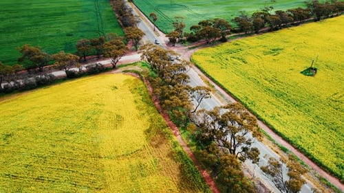Aerial View of Cars Driving Through Rural Fields