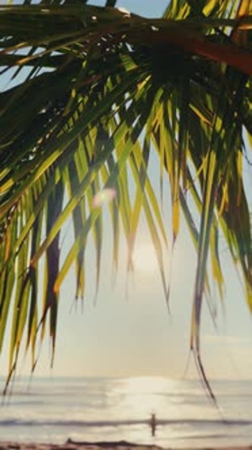 Tropical beach view through palm leaves