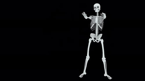 Skeleton Dance Loop