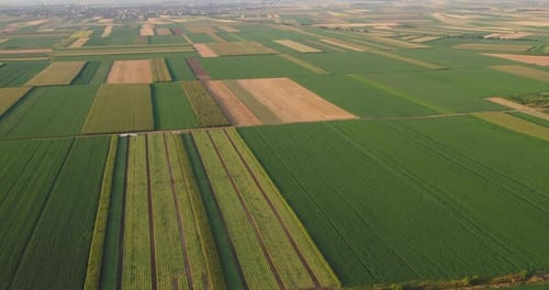 Aerial View of Farmland Landscape