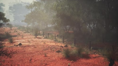 Misty Red Earth Path with Trees and Fence in Outback