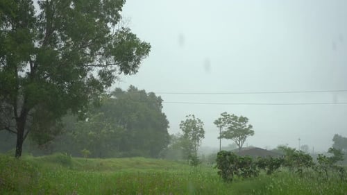 heavy rain in village green trees and grass