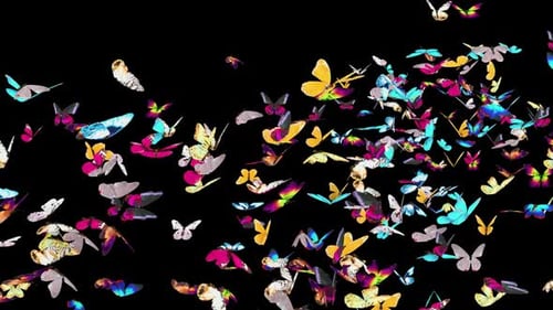 Vibrant Colorful Butterflies Flying Swarm Animation
