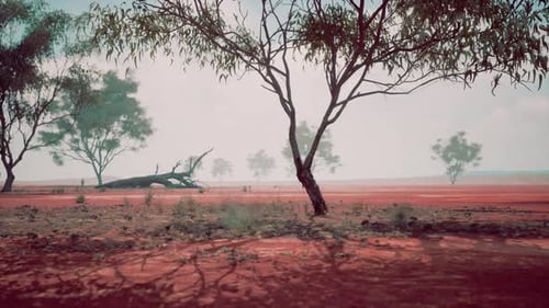Landscape with a Vibrant Red Dirt Field and Majestic Trees in the Background