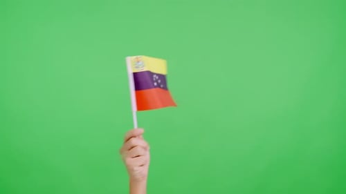Hand Waving Flag on a Green Screen