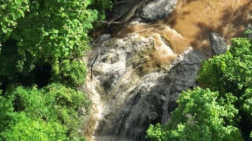 A foamy river water swirling amid rocks and vibrant greenery.