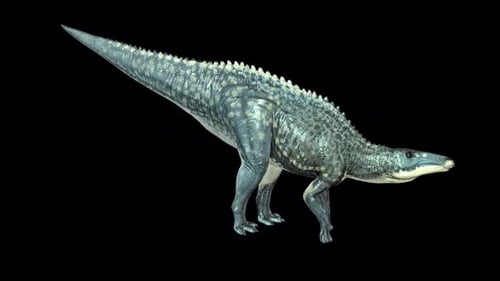 Boisson pour dinosaure Shantungosaurus