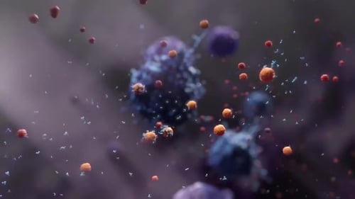 Microscopic view of cells and particles in motion