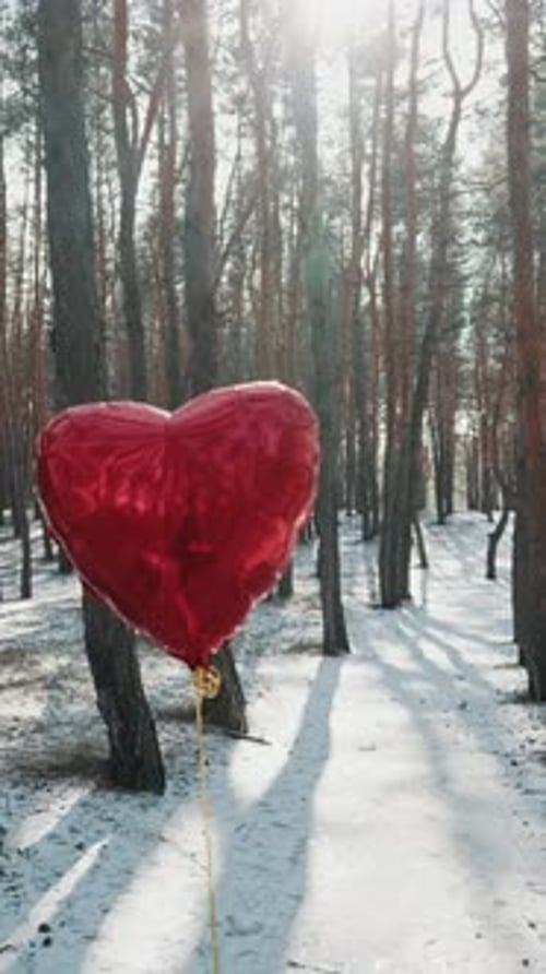 Red Foil Heart Balloon Floating In Snowy Winter Forest Path With Sunlight